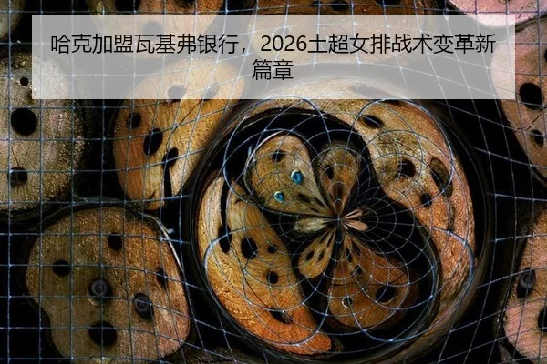 哈克加盟瓦基弗银行，2026土超女排战术变革新篇章